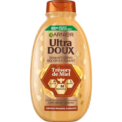 Garnier Tresors De Miel Shampoo 300ml
